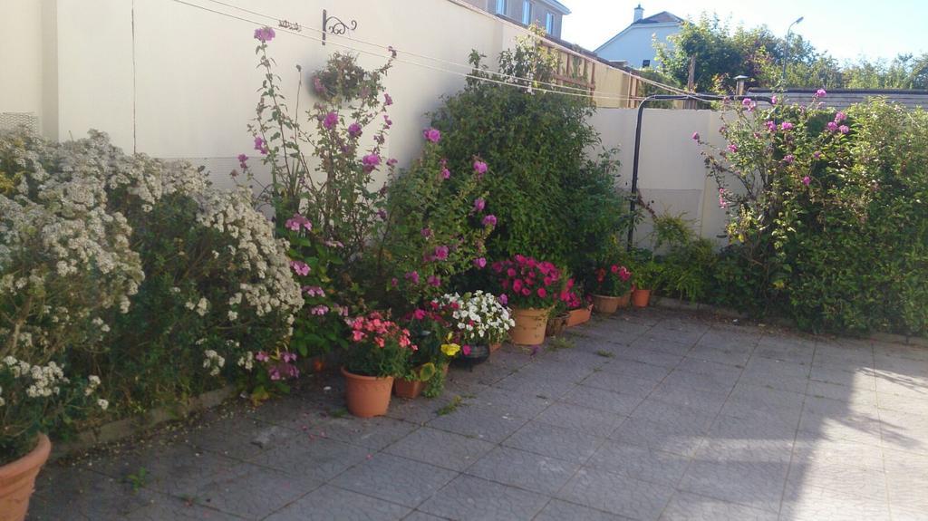 Seashore Lodge Guesthouse Galway Pokój zdjęcie